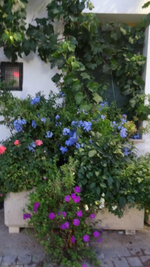 Casa Rural Francisca Requena Εξωτερικό φωτογραφία